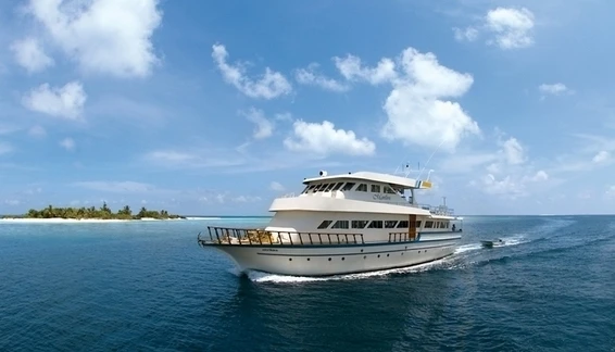 Click to enlarge image