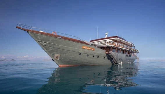 Click to enlarge image