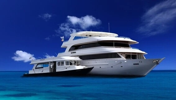 Click to enlarge image