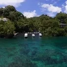 Click to enlarge image