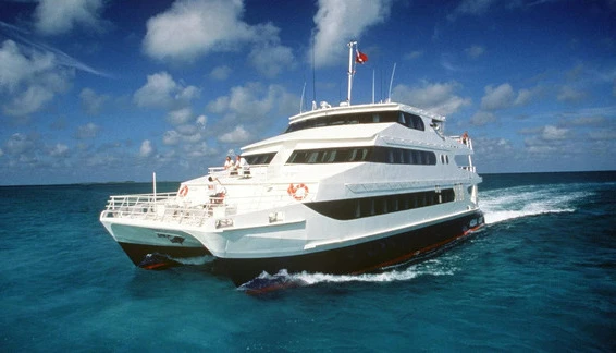 Click to enlarge image