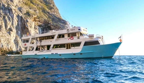 Click to enlarge image