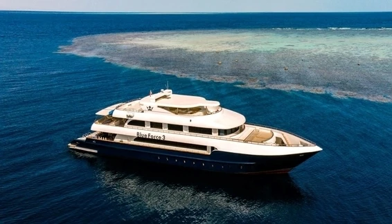 Click to enlarge image