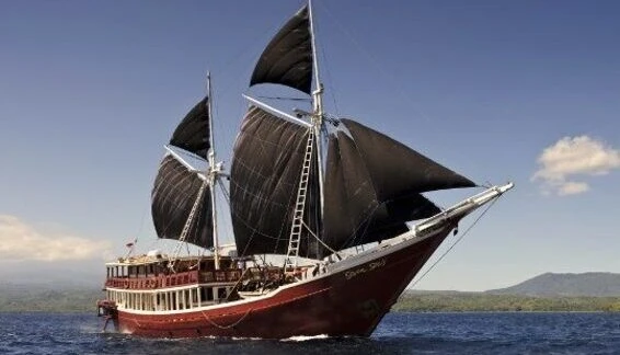 Click to enlarge image