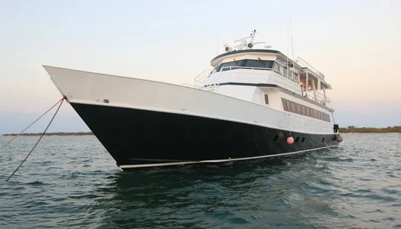 Click to enlarge image