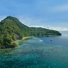 Click to enlarge image