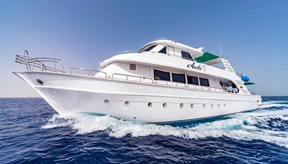 Click to enlarge image