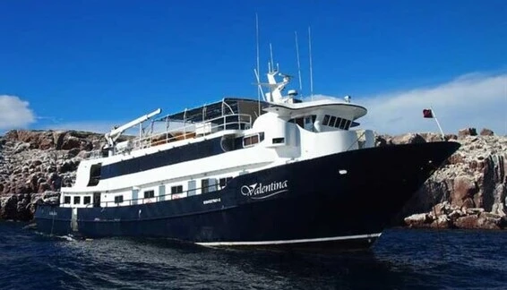 Click to enlarge image